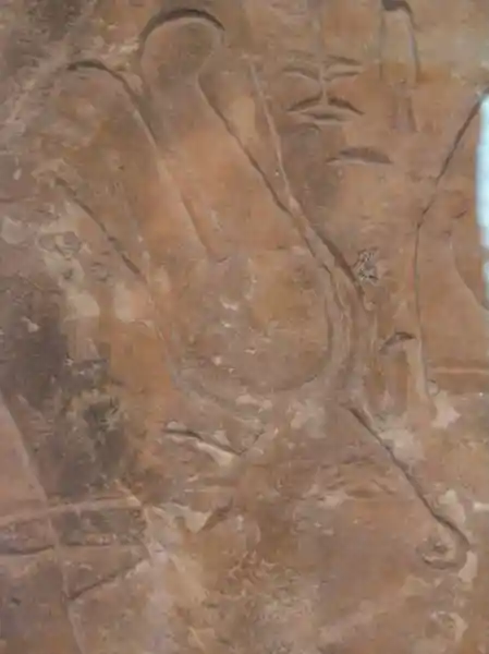 A bull with solar disc between its horns on the stela of Paser A bull with solar disc between its horns on the stela of Paser